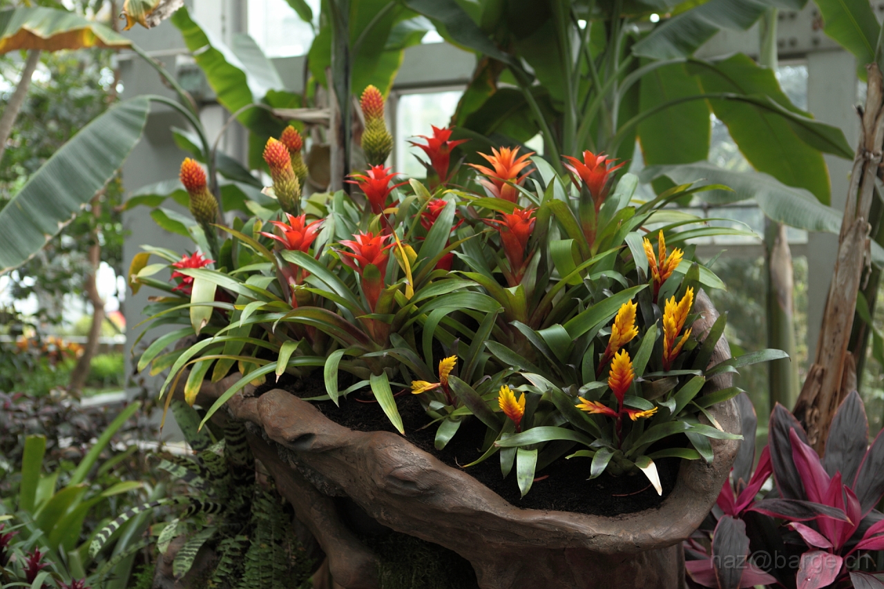 EOS 5D Mark II16_04_20135013.JPG